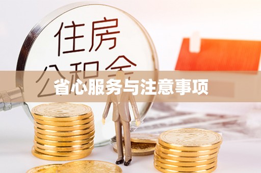 乐业省心服务与注意事项