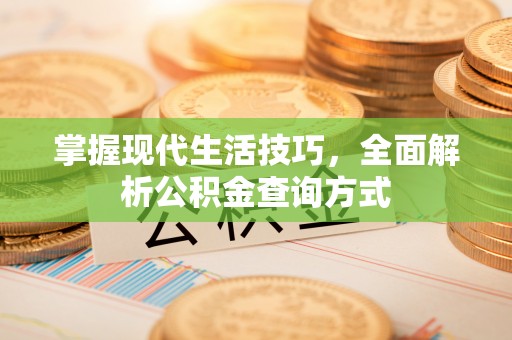 乐业掌握现代生活技巧，全面解析公积金查询方式