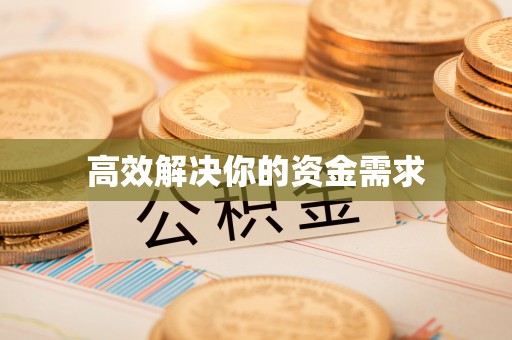 乐业高效解决你的资金需求