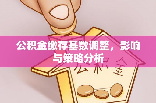 乐业公积金缴存基数调整，影响与策略分析