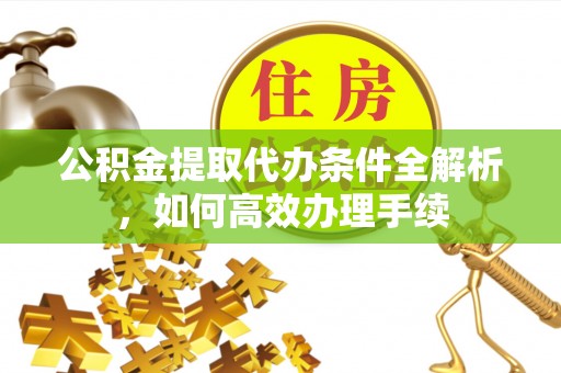 乐业公积金提取代办条件全解析，如何高效办理手续