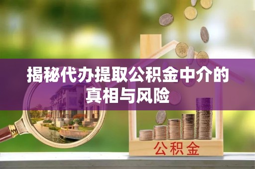 乐业揭秘代办提取公积金中介的真相与风险