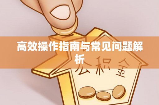 乐业高效操作指南与常见问题解析