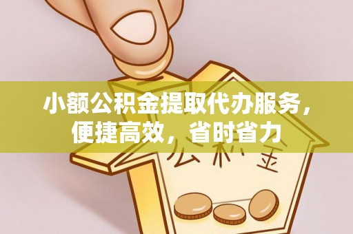 乐业小额公积金提取代办服务，便捷高效，省时省力
