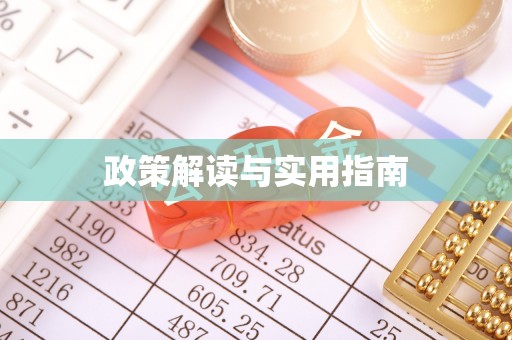 乐业政策解读与实用指南
