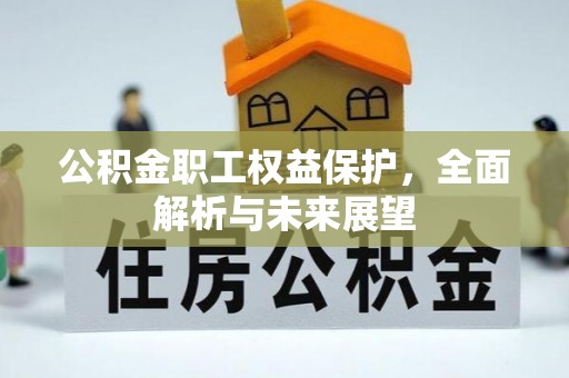乐业公积金职工权益保护，全面解析与未来展望