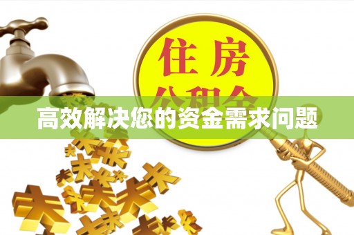 乐业高效解决您的资金需求问题