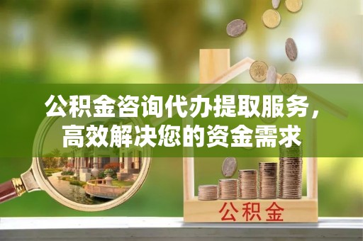 乐业公积金咨询代办提取服务，高效解决您的资金需求