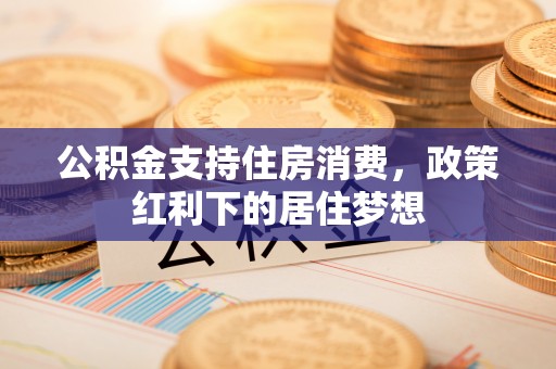 乐业公积金支持住房消费，政策红利下的居住梦想