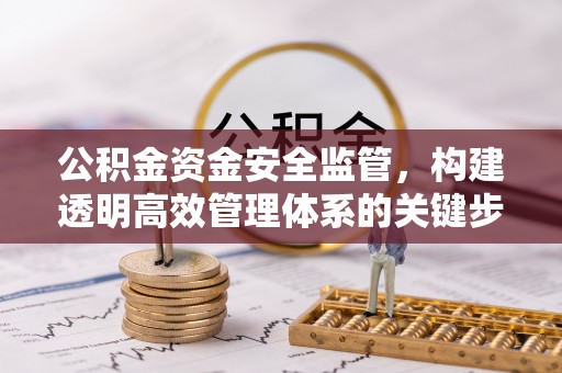 乐业公积金资金安全监管，构建透明高效管理体系的关键步骤