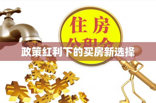 乐业政策红利下的买房新选择