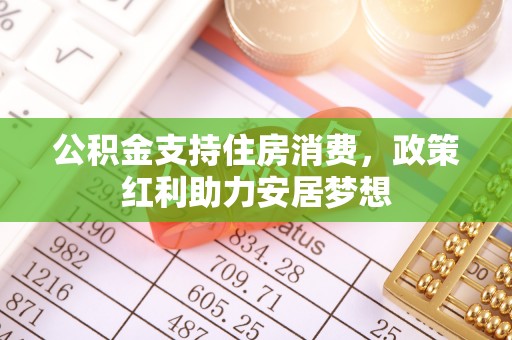 乐业公积金支持住房消费，政策红利助力安居梦想
