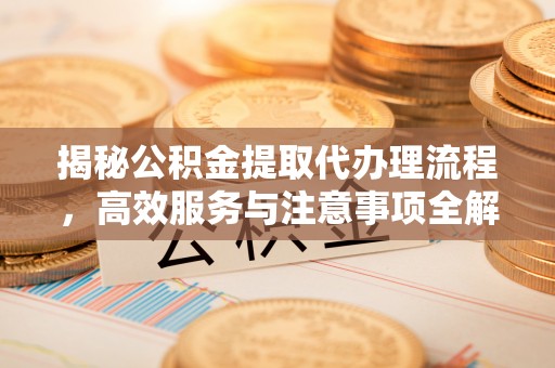 乐业揭秘公积金提取代办理流程，高效服务与注意事项全解析