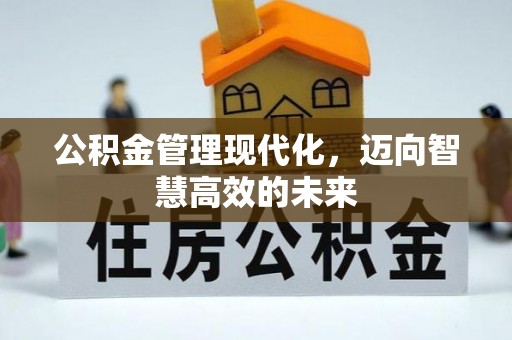 乐业公积金管理现代化，迈向智慧高效的未来