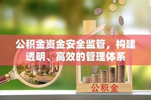 乐业公积金资金安全监管，构建透明、高效的管理体系