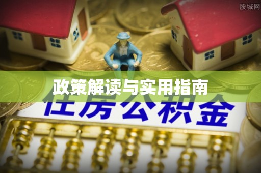 乐业政策解读与实用指南