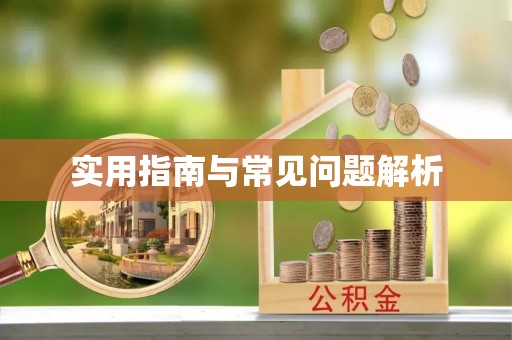 乐业实用指南与常见问题解析