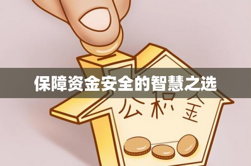 乐业保障资金安全的智慧之选