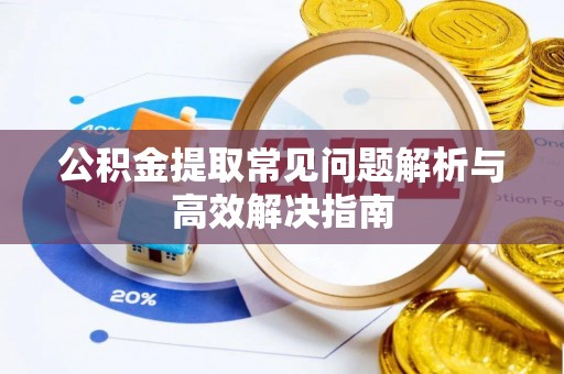 乐业公积金提取常见问题解析与高效解决指南