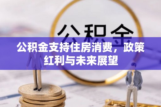 乐业公积金支持住房消费，政策红利与未来展望