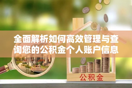 乐业全面解析如何高效管理与查询您的公积金个人账户信息
