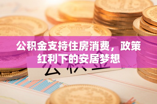 乐业公积金支持住房消费，政策红利下的安居梦想