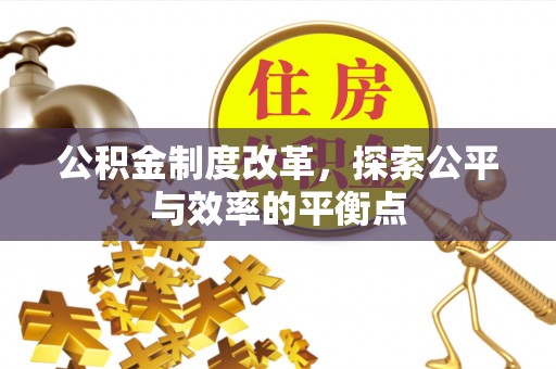 乐业公积金制度改革，探索公平与效率的平衡点