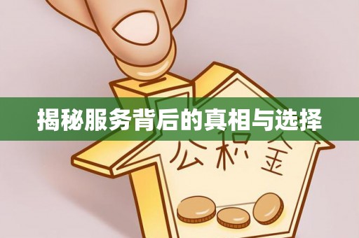 乐业揭秘服务背后的真相与选择