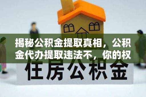 乐业揭秘公积金提取真相，公积金代办提取违法不，你的权益如何保障？