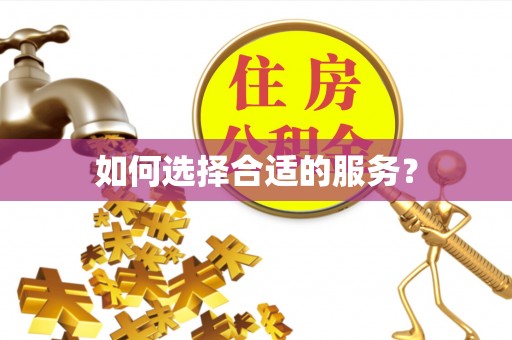 乐业如何选择合适的服务？