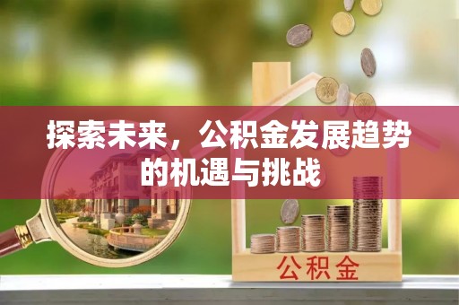 乐业探索未来，公积金发展趋势的机遇与挑战