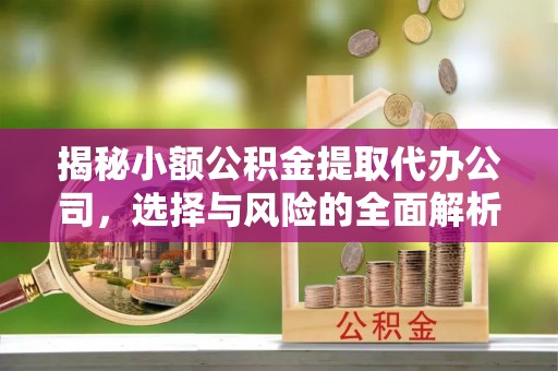 乐业揭秘小额公积金提取代办公司，选择与风险的全面解析