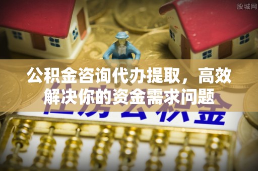 乐业公积金咨询代办提取，高效解决你的资金需求问题