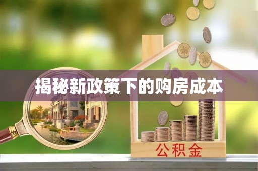 乐业揭秘新政策下的购房成本
