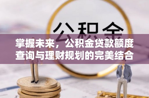 乐业掌握未来，公积金贷款额度查询与理财规划的完美结合