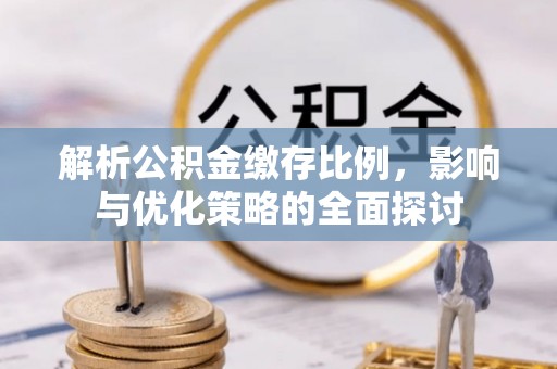 乐业解析公积金缴存比例，影响与优化策略的全面探讨