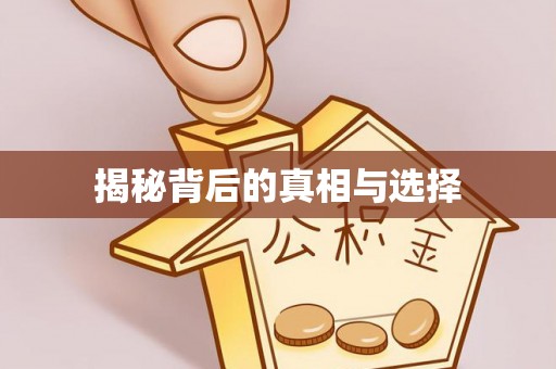 乐业揭秘背后的真相与选择