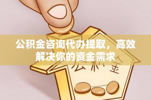 乐业公积金咨询代办提取，高效解决你的资金需求