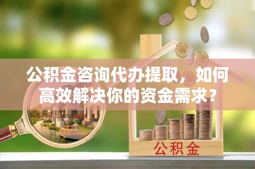 乐业公积金咨询代办提取，如何高效解决你的资金需求？