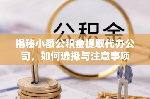 乐业揭秘小额公积金提取代办公司，如何选择与注意事项