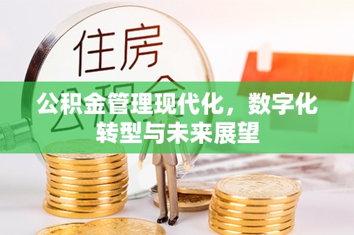乐业公积金管理现代化，数字化转型与未来展望