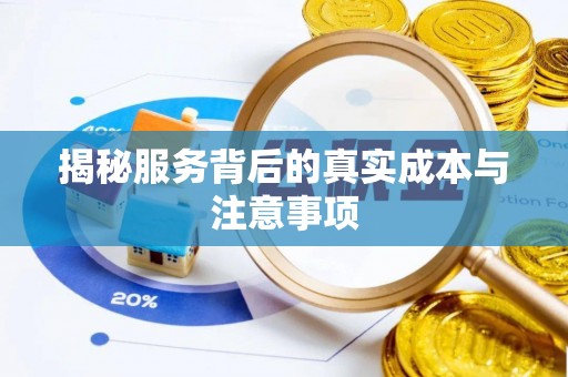 乐业揭秘服务背后的真实成本与注意事项