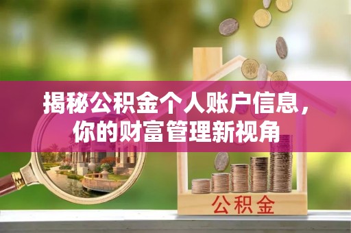 乐业揭秘公积金个人账户信息，你的财富管理新视角
