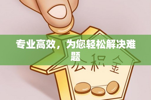 乐业专业高效，为您轻松解决难题
