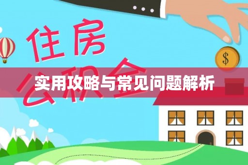 乐业实用攻略与常见问题解析