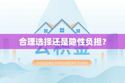 乐业合理选择还是隐性负担？