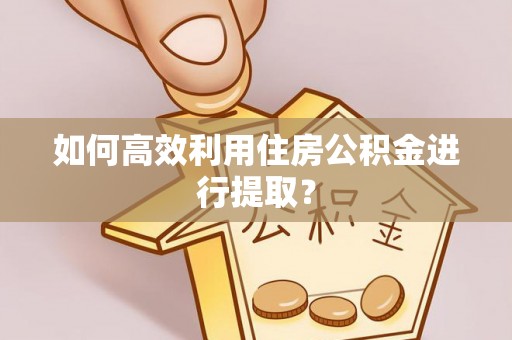 乐业如何高效利用住房公积金进行提取？
