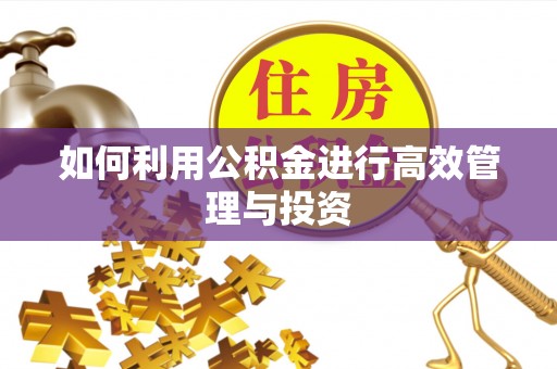 乐业如何利用公积金进行高效管理与投资