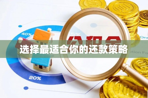 乐业选择最适合你的还款策略