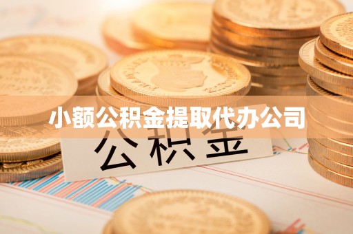 乐业小额公积金提取代办公司